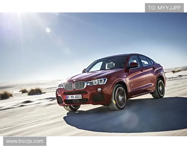 bmw滑雪世界杯（bmw drive 滑雪）sports